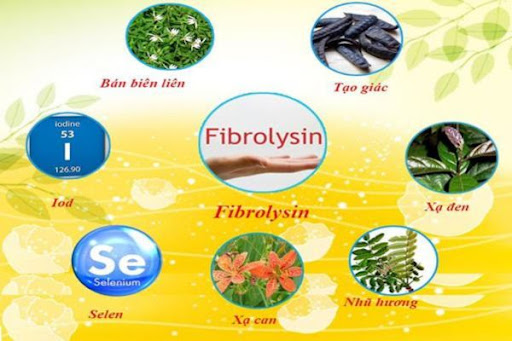 Fibrolysin kết hợp với thảo dược tạo nên công thức giúp giảm ho khó thở